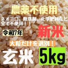 選別済みの大粒揃い】農薬不使用 ヒノヒカリ 白米 30kg さくらの白米