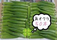 角オクラ50本のサムネイル