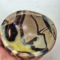 セプタリアン 小物入れ ボウルのサムネイル