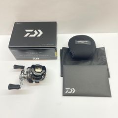 24 スティーズ SV TW 100HL SLPWカーボンハンドルカスタム - メルカリ