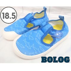 セール品【BOLOG】マリンシューズ キッズ ブルー サメ柄 18.5㎝ 260721W001