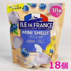 マックスポーツ ディレクターズチェア ひじ掛け付き 折りたたみチェア