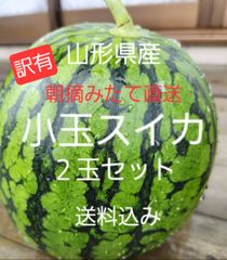 山形総本家 産直フルーツと天然山菜の直販 - メルカリShops