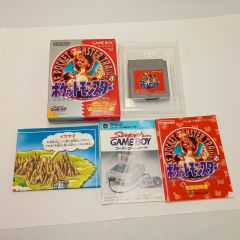 動作確認済み ポケットモンスター赤 ポケモン ゲームボーイ GAME BOY