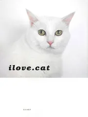 ilove.catのサムネイル