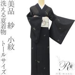 単衣 小紋 フルセット 夏着物 洗える着物 絽 紗 トールサイズ T5 単衣