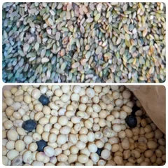 限定販売 令和7年産 くず大豆とくず米 合わせて 約2㎏のサムネイル