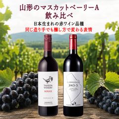 タケダワイナリー ブラン2023＆ルージュ2024 白赤2本セット 日本ワイン