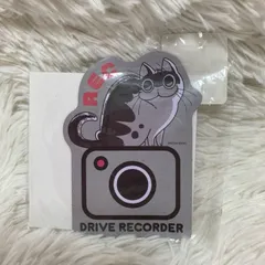 【訳あり】夜は猫といっしょ マグネットシート  カーマグネット キュルガ ドンキホーテのサムネイル