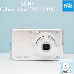 極美品】SONY DSC-WX100 コンデジ ブラウン 動作確認済み 箱付き