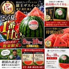 熊本県産 羅王ザスイート 糖度15度以上 大玉8-10kg - メルカリ