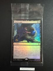 m16457 【Foil】(224)□プレリリース□《岩山炎の後継者、メイブル