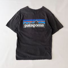 patagonia パタゴニア 絶滅危惧種 生態系 usa製 雪無し 黒タグ - メルカリ