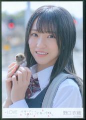 野口衣織 桜の咲く音がした 歌唱衣装B 生写真 - メルカリ