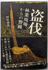中古】定本何かが空を飛んでいる／稲生平太郎 著／国書刊行会 - メルカリ