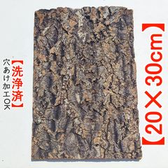 c1214 20×30cm コルク樹皮 コルク板 バージンコルク 洗浄済 両生類