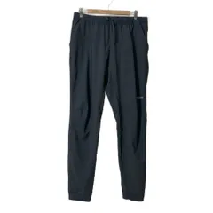 パタゴニア Patagonia Terrebonne Joggers ジョガーパンツ テーパード L グレー 24540FA22のサムネイル