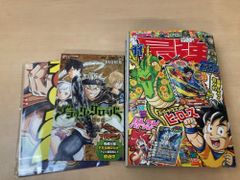 藤村全集 全巻セット／17巻揃＋別巻上下巻 計19冊セット 島崎藤村／著