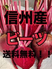 【信州産ビーツ】20kg 【有機肥料使用・化学農薬不使用】 信州産ビーツ】2kg 【有機肥料使用・化学農薬不使用】 - メルカリ