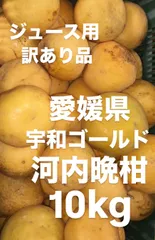 訳あり品　愛媛県産　河内晩柑　宇和ゴールド　柑橘　10kgのサムネイル