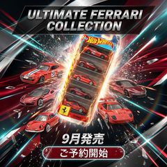 平*次様 鷹の爪 x HOT WHEELS CAR ケース パンクドランカーズ - メルカリ