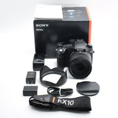 交渉可 SONY RX10m4 予備バッテリー、PRO1D・C-PLフィルター付 交渉可 SONY RX10m4 予備バッテリー、PRO1D・C-PLフィルター付 - メルカリ