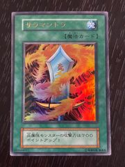 送料無料 ポケモンカード サイキッカーの テルコ 001 N カードe+ N001