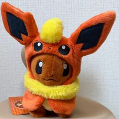 美品✨ウインディポンチョのイーブイ スマイル 沖縄 ぬいぐるみ タグ