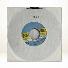 レコード3枚セット Steely Dan D'Angelo Gambino - メルカリ