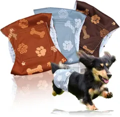 283L1027 【獣医師監修】 マナーベルト 犬 男の子 3点セット(肉球模様, XS)のサムネイル