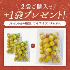 冷凍完熟梅サイズ：2L×2+おまけ1㎏プレゼントのサムネイル