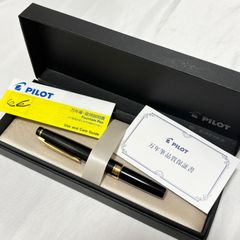 SAILOR PG-12 黒 万年筆 未使用 プロフェッショナルギア21金 - メルカリ