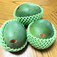 じー様 専用【2箱まとめ割7980円❗️】沖縄産 キーツマンゴー 60 63