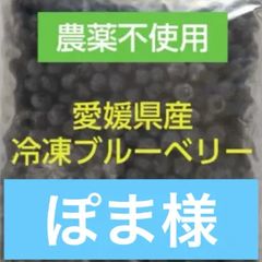 農薬不使用 冷凍ブルーベリー 2kg 北海道・東北・沖縄・関東・信越