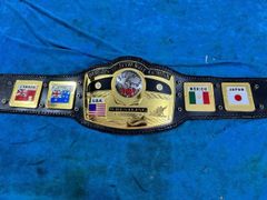 チャンピオンベルト レプリカ WKF ringside キックボクシング インド