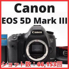 良品 8497ショット キャノン EOS 5D Mark II ダブルレンズ - メルカリ