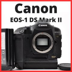 G18[7868]47☆美品☆ ニコン Nikon D4 ボディ 【ショット数 8,281回