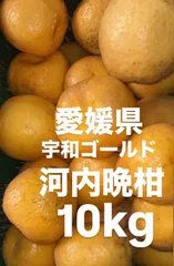 愛媛県産　河内晩柑　宇和ゴールド　柑橘　10kgのサムネイル