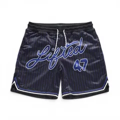 LRG RESOLUTIONARY LIFTED MESH SHORTS l33ammsxx エルアールジー バスパンのサムネイル