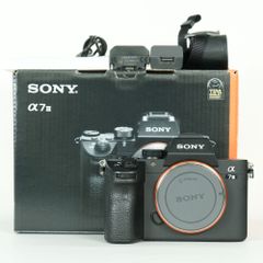 α7Ⅳ 美品【シャッター数21,716回】 ボディ機関良好 純正バッテリー