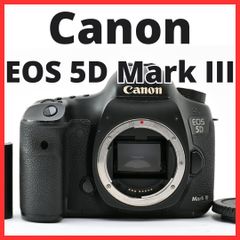 G23[7875]36 ニコン Nikon D800E ボディ 【ショット数 11,277回