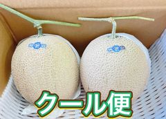 高知産 贈答用 温室マスクメロン 6玉 約9，2Kg 秀品 北海道沖縄発送
