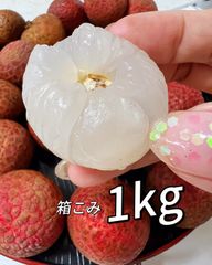 マツモト商店『年中無休』 - メルカリShops