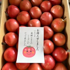 岐阜県飛騨産 トマト  訳あり　品種　麗月のサムネイル