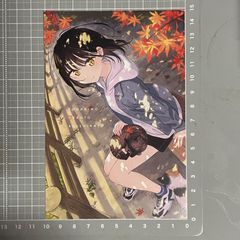 聖闘士星矢 セインティア翔 vol.6 有隣堂 特典：非売品 イラストカード