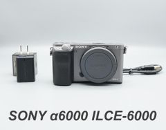 動作良好 Sony ソニー α6000 SELP1650 ダブルズームキット - メルカリ