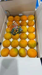 1. 🍊愛媛ハウスみかん 約5kg 業界最安値‼️🍊 2. 🍊夏のご褒美！愛媛ハウスみかん 5kg クール便発送❄️のサムネイル