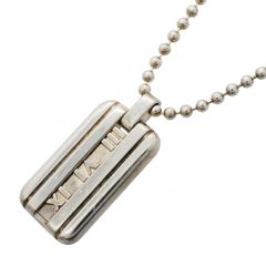 ☆超美品☆TIFFANYティファニー アトラスドッグタグプレートネックレス