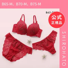 【新品】クラシックラメ刺繍 ブラジャー ショーツ セット Tバック 3点セット BCDEF 大きいサイズ バックレース(B65-M、B70-M、B75-M)のサムネイル