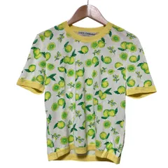 良品 DOLCE & GABBANA ドルチェ＆ガッバーナ フルーツプリント ショートスリーブ ニットトップス 40 イエロー ホワイト レディース 古着 中古 USEDのサムネイル